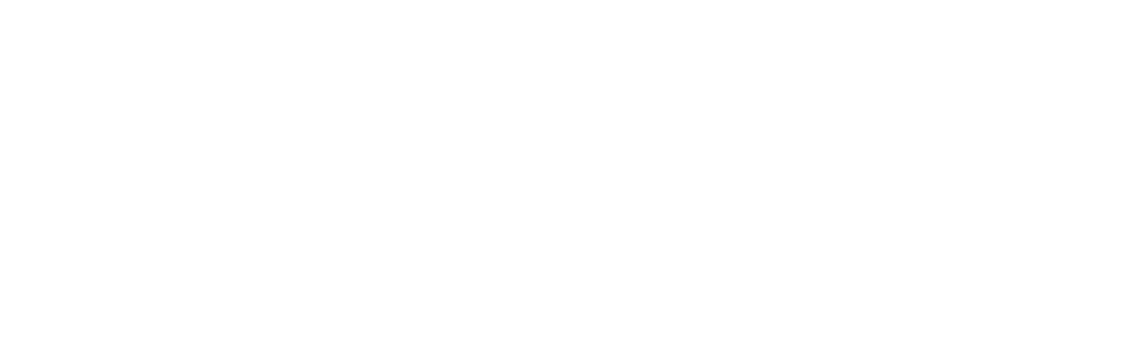 Foton® México